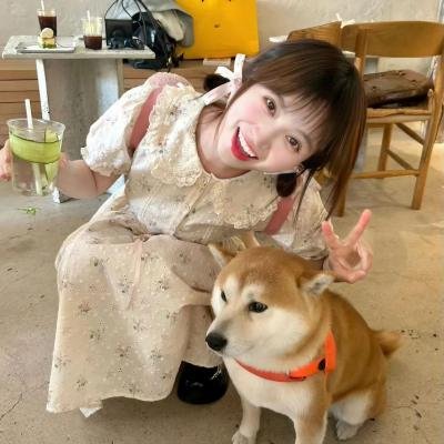 狙击女妙探 封面