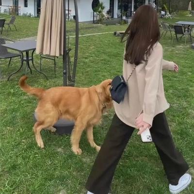 下女的诱惑 封面
